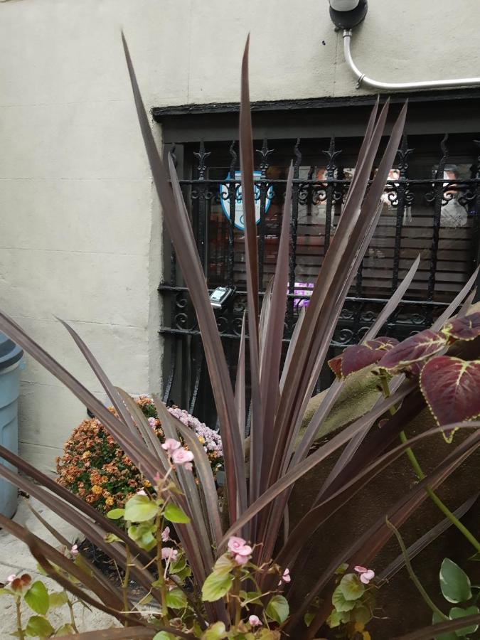 فندق نيو يوركفي  Irving Manor المظهر الخارجي الصورة